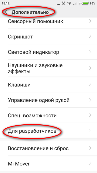 Режим настройки для разработчиков Вход в режим «Для разработчиков»