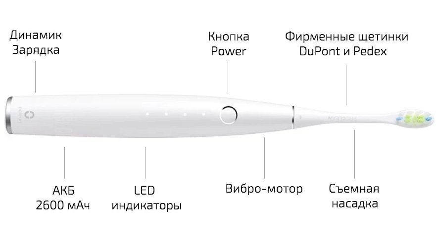 Как устроена зубная щетка Xiaomi Oclean Как устроена зубная щетка Xiaomi Oclean
