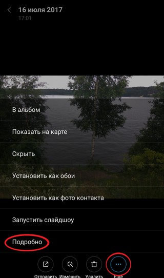 Основная информация о фотографии Просмотр подробной информации о фотографии
